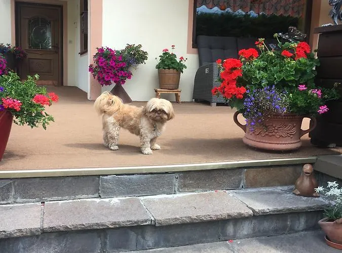 Bianca's Bb Vendégház Sölden